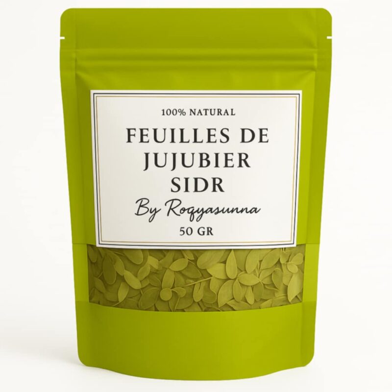 FEUILLE JUJUBIER SIDR